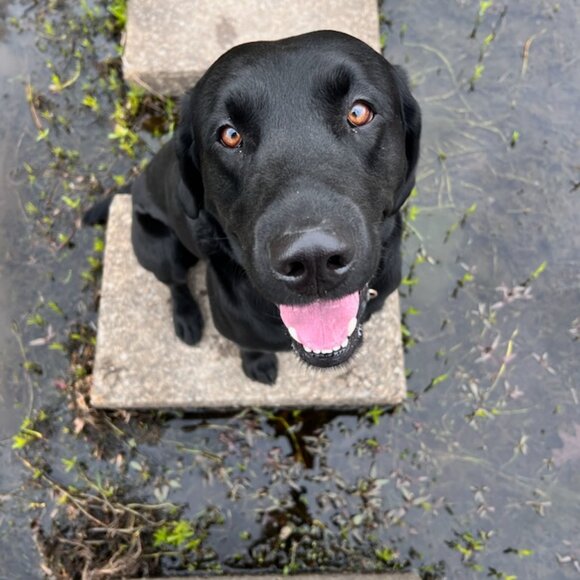 Meet your Posher, John! - Picture 1 of 2